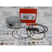 PISTON ASSEMBLY BS-792117